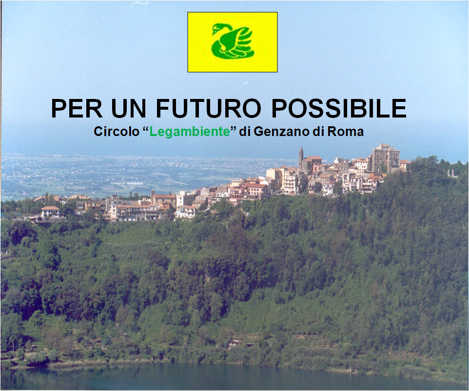 Copertina del sito